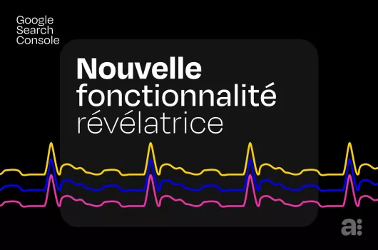 Requête de marque sur la Google Search Console