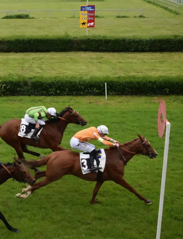 Projet création site pour l'hippodrome d'Orléans