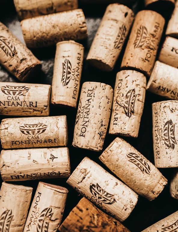 Réalisation site et logo Canal Vin