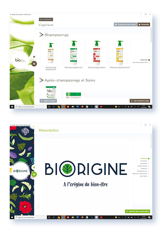 Maquette site du groupe HAVEA