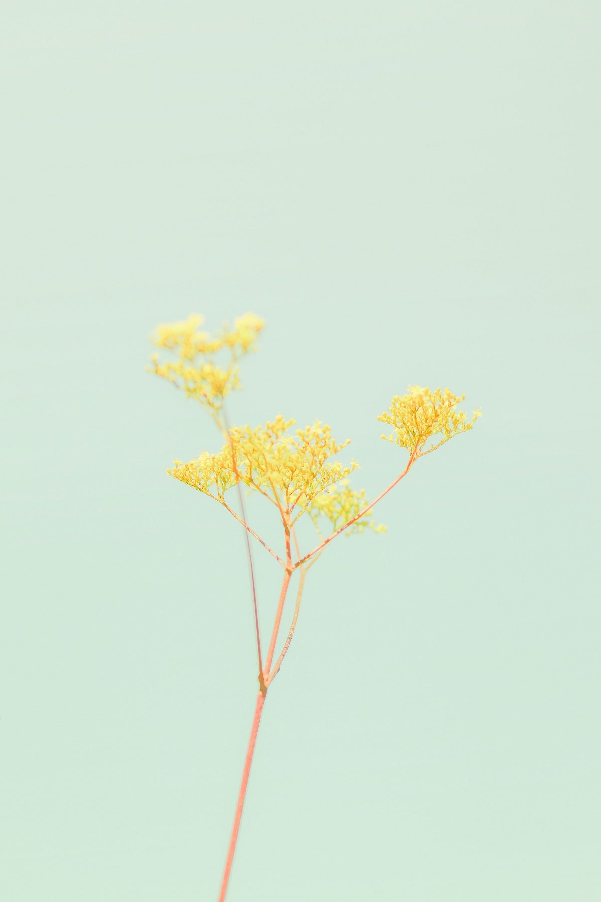 croissance d'une entreprise