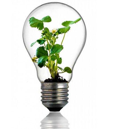 idée de site vert écoresponsable