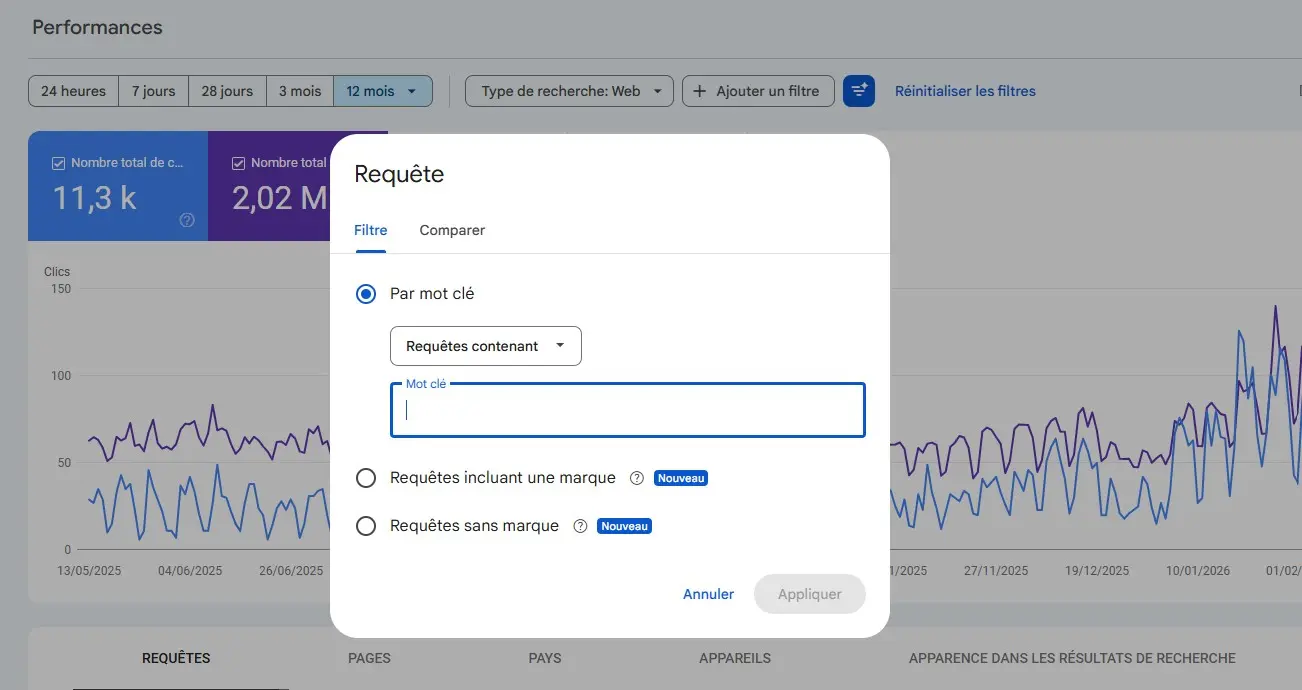 Le filtre requête de marque dans la Search Console