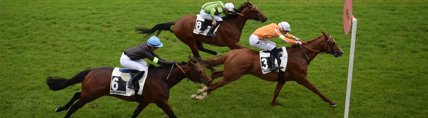 Course à l'hippodrome d'Orléans